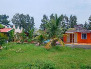 Coral House