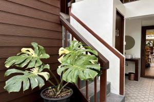 Nuan Nil Secret Courtyard