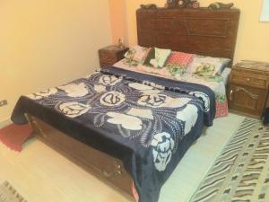 Mourad morsy مراد