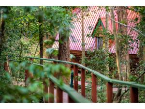 The Mouses House Rainforest Retreat