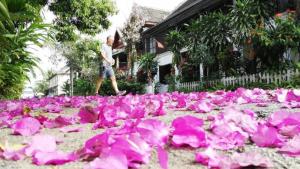 Lotus Corner - Heritage B&B