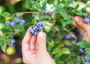 Riverside Moire - spacious & sunny