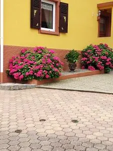 maison louis - Sondernach