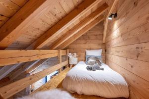 Chalet en bois et pierre avec Bain nordique