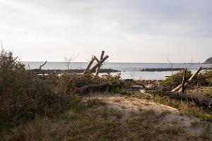 Captains House, explore the crustal movement every thousand years