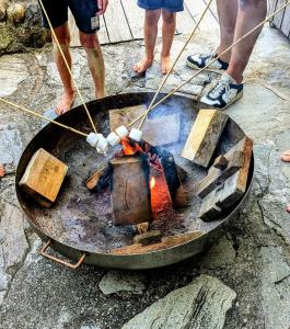 Apartments Pihapperhof