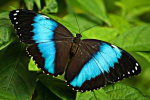 Apartamento en Arroyo de la Miel