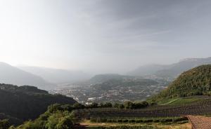 Noelani natürliches Waldidyll