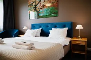 Comfort Hotel Kuldiga - 马热伊基艾