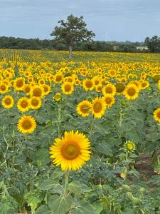 La Maison du Parloir