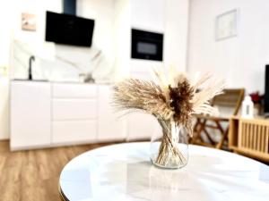 House in City Garden 2