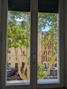 Appartamento della Vittoria