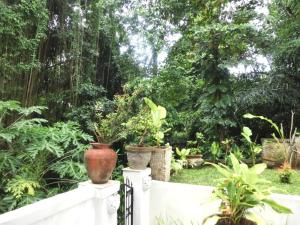 Latugu Homestay Ubud