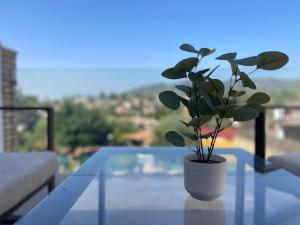 Mirador del Calasancio 5