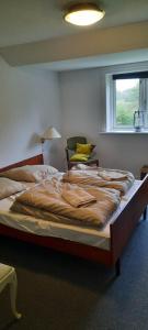 Dybvad Mølle bed and breakfast