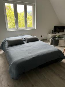 Appartements Vue magnifique sur les chateaux : photos des chambres