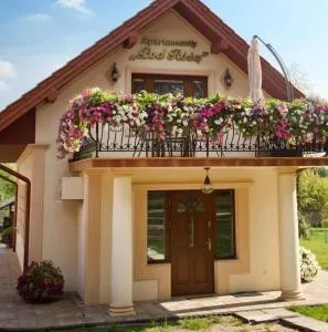 Apartament Róża - Wietrzychowice