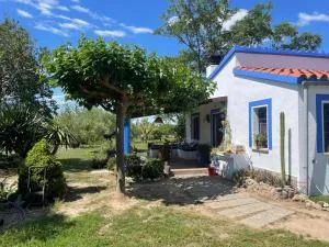 Masia 'Oasi Vallmoll' - Nulles