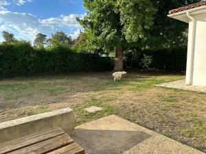 Maisons de vacances Maison 4 chambres avec jardin : photos des chambres