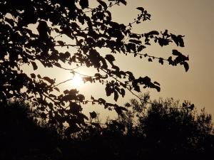 Ta Marie Bed and Breakfast