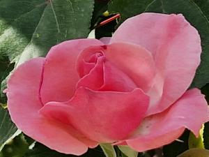 Ta Marie Bed and Breakfast