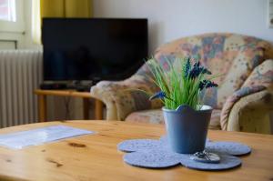 Ferienwohnung Boje 10