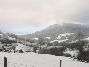 Maisons de vacances Gites entre Salers et le puy Mary dans le cantal : Maison 2 Chambres