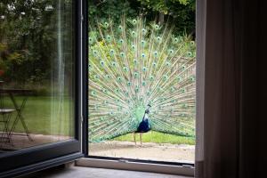 Idyllisches Landhaus, Garten & Kamin, für Paare