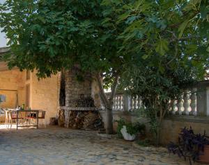 Apartments Antique Ivo 