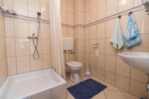 Apartments Antique Ivo