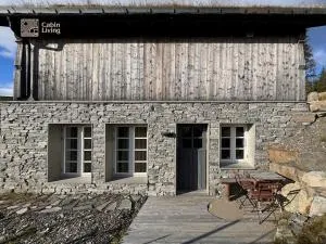 Modern apartment with ski in out in Hafjell - Hafjell