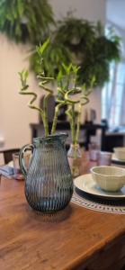 Adorea Verona - San Tomaso