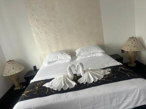 Pensiunea Dacia Deva