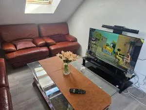 Appartement meublé , 1 chambre - Soindres