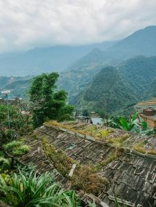 HMong Cát Cát Homestay