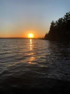 The Great Moose - Harmony