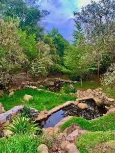 Rancho ao lado da Laroc e AME - 瓦利尼乌斯