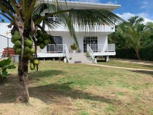 Apartamentos The Captain and His Queen