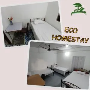 Eco Homestay - Dibrugarh