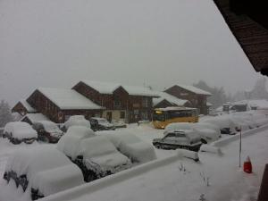 Studio 2 étoiles pour 4 pers. avec animaux admis à La Plagne - FR-1-353-111