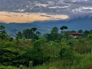 Casa Quetzal: Jungle Retreat - Barú
