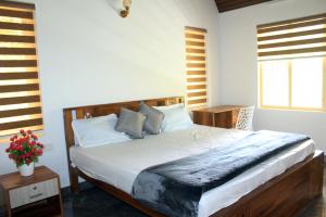 2BHK Homestay at Vagamon with Pool, Campfire and BBQ- Oakwood Oasis