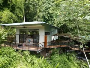 Casita Bambú Jungle Guesthouse - Playón