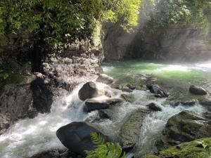 Casa Quetzal: Jungle Retreat
