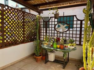 Cozy flat in downtown Orbetello