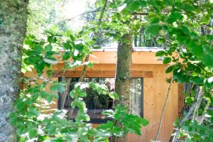 Chalets La Cabane du Lys : photos des chambres