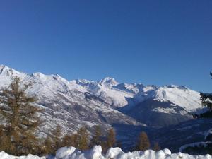 Charmant T3 avec terrasse, près des pistes, pour 6 personnes à La Plagne - FR-1-353-129