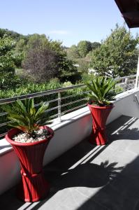 Appartements Gites Jara et Mendia, Maison Eguzki-Lore, Saint-Jean-Pied-de-Port, Pays Basque : photos des chambres