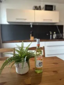 DALU Apartments - 施韦因福特