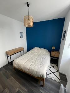 Appartements Blue Vervet - T2 avec parking : photos des chambres